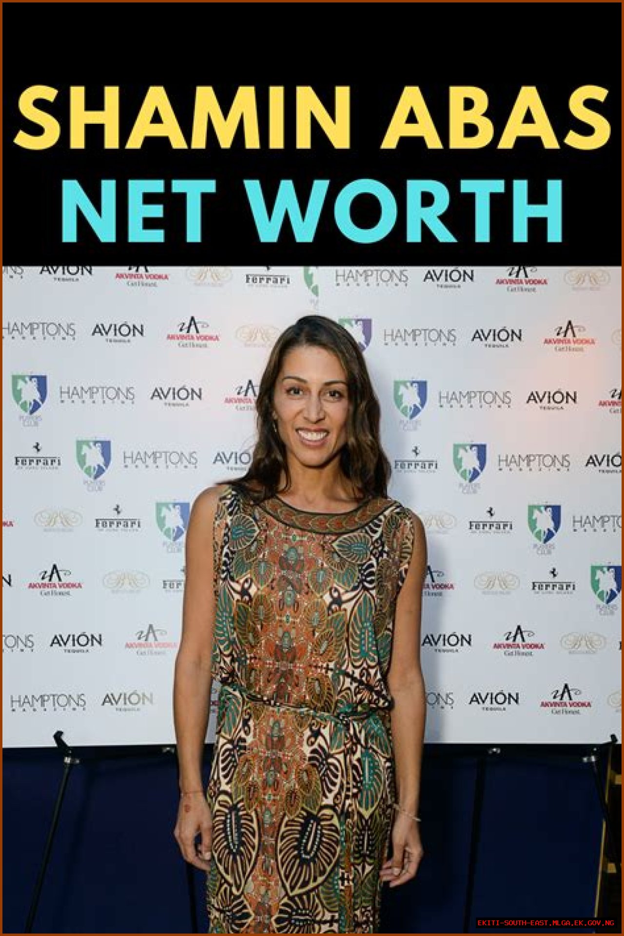 biography shamin abas net worth