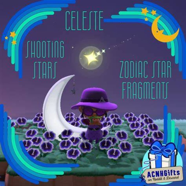 Celeste, Meteor Shower and Shooting Star Guide