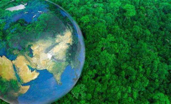 Dive Deeper into The Green Planet