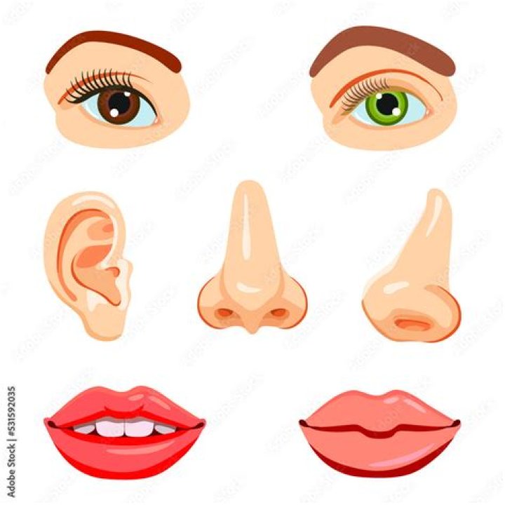 Face, Nose, Ear, Eye, Hat, Fashion accessory, Costume accessory, Headgear, Jewellery, Sun hat, Face, Nose, Ear, Eye, Hat, Fashion accessory, Costume accessory, Headgear, Jewellery, Sun hat,