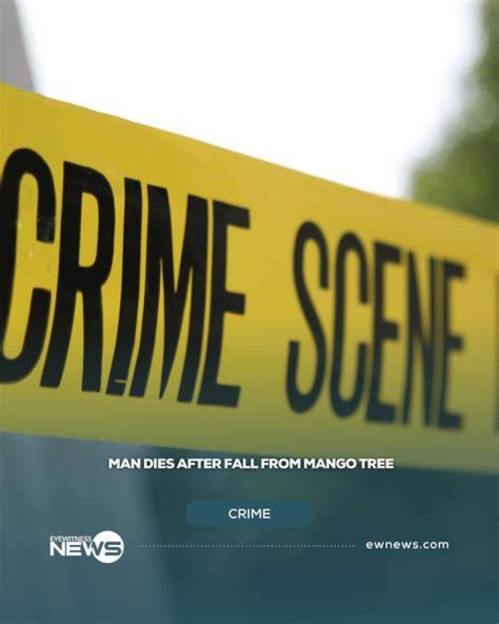 Man Dies In Tree Fall