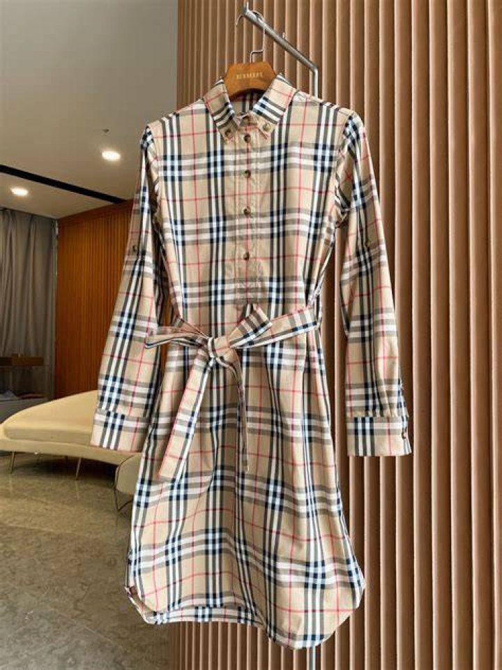 Vintage Check Stretch Cotton Long Sleeve Shirtdress Vintage Check Stretch Cotton Long Sleeve Shirtdress