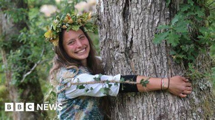What are Tree Huggers?